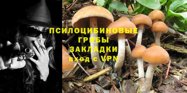 амф Карпинск