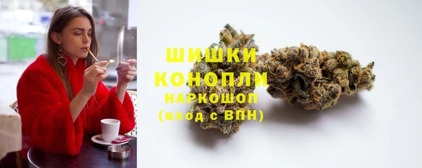 амф Карпинск