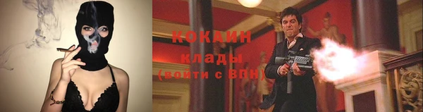 амф Карпинск