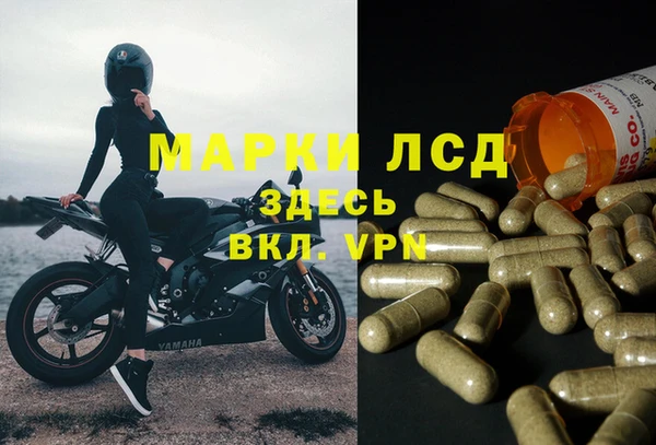 стафф Киреевск